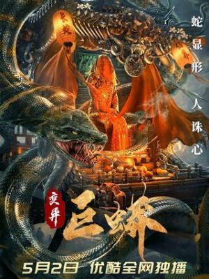 竞技风云